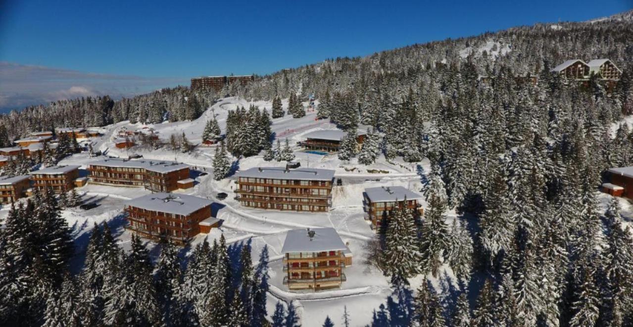 Le Cocon 4 Saisons A Chamrousse 1700 - Droseras A14 - Les Villages Du Bachat Dış mekan fotoğraf